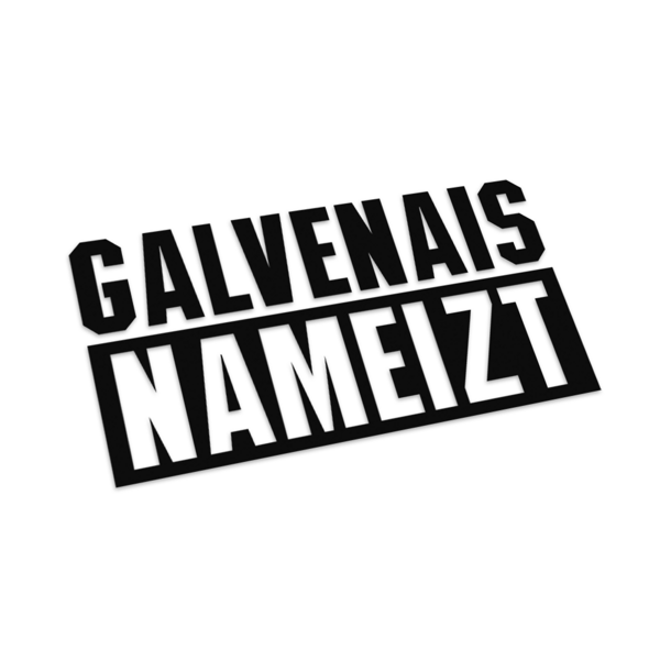 Galvenais nameizt